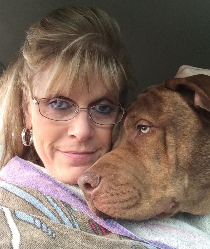Lisa Dodd